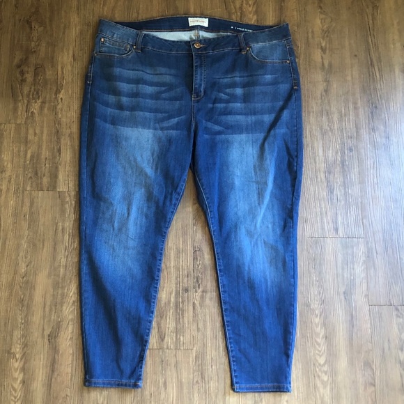 molly and isadora plus size jeans